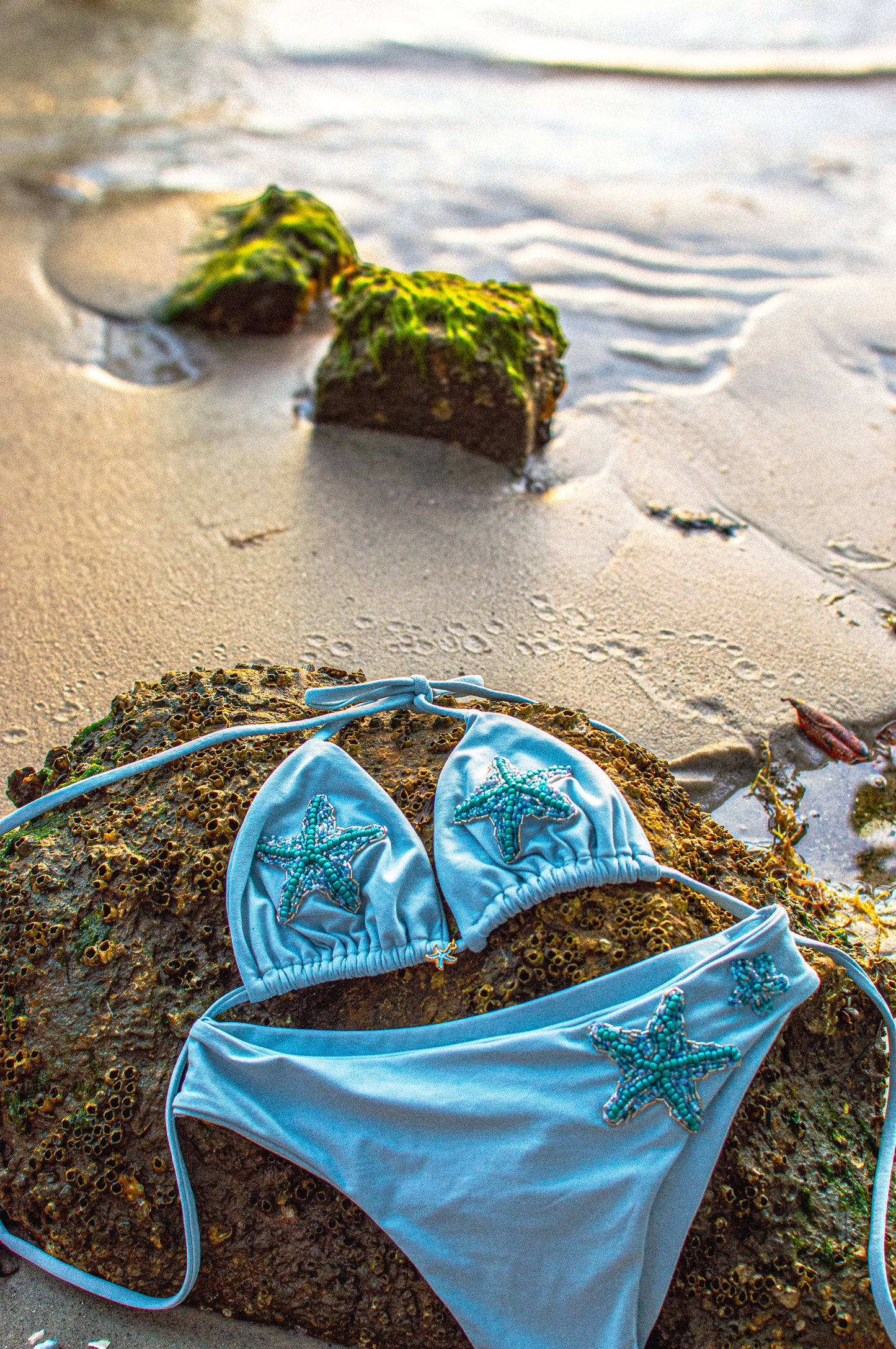 Sky-Blue Starfish Bottom